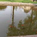 Állatkert-Bográcsozás 2009.05.01.